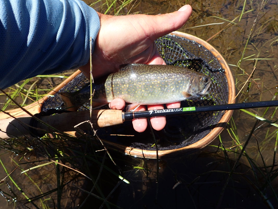 Tenkara Fly Fishing - Evening